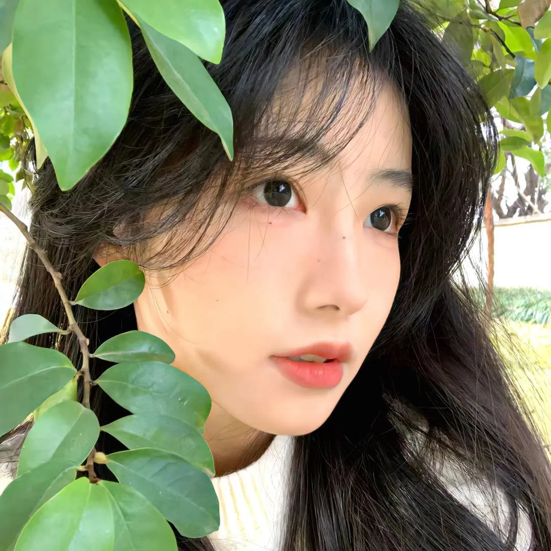 总统与奶牛